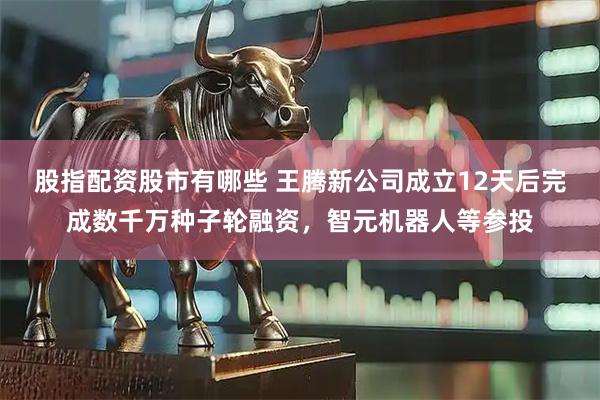 股指配资股市有哪些 王腾新公司成立12天后完成数千万种子轮融资，智元机器人等参投